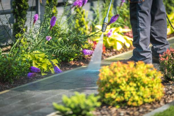 Best Post-Construction Pressure Washing  in La Center, WA